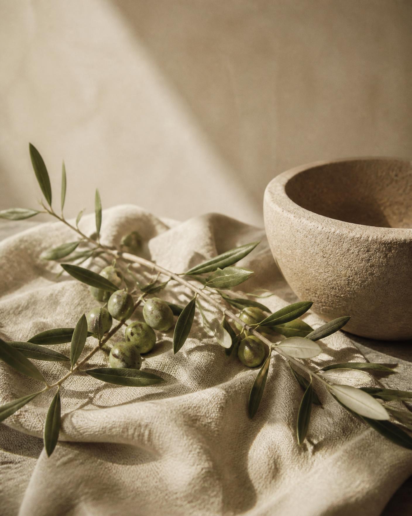 Olive branch resting on linen beside a stone bowl